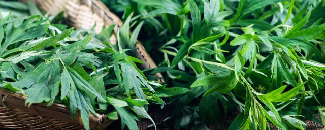 艾草暖贴有什么功效(艾草暖贴贴哪里效果好)