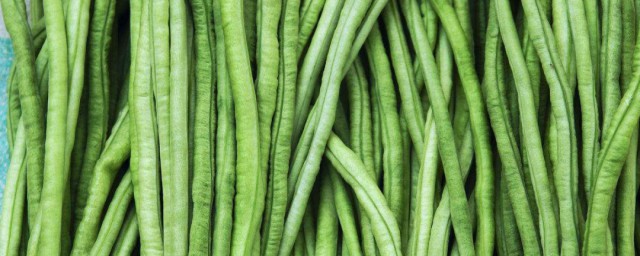 豇豆如何进行保存(新鲜豇豆的保存方法)