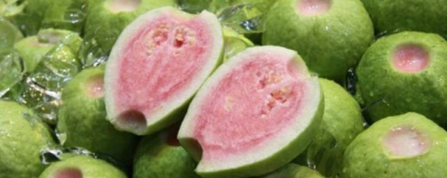 芭拉如何食用(芭芭拉怎么用)