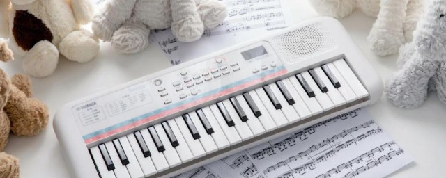 钢琴是打击乐吗(众所周知钢琴是打击乐器)