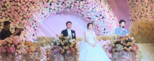 世纪婚礼意思(世纪求婚的意思)