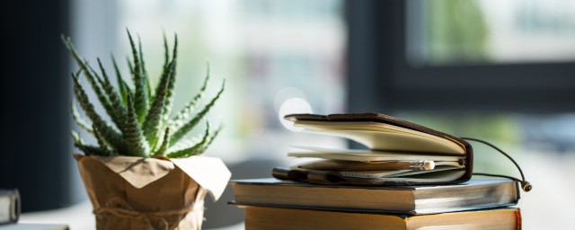 芦荟开花有什么说法(民间对芦荟开花结果的说法)