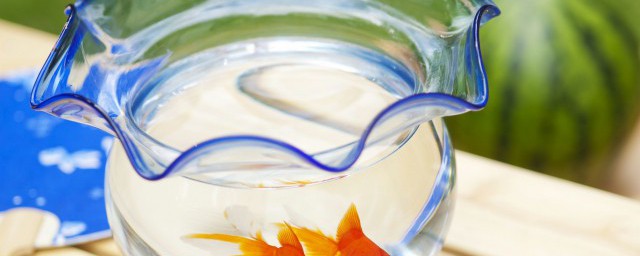 移动大鱼缸的技巧具体有哪些(鱼缸移动注意事项)