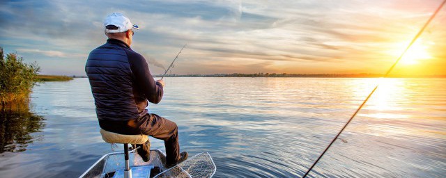 怎么让钓鱼饲料遇水不散(钓鱼饵料遇水就散了)