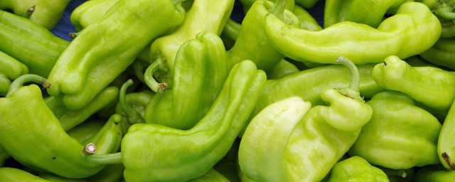 辣椒啥时候育苗(辣椒啥时播种育苗)