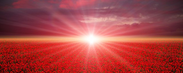 形容风景优美的短句有哪些(形容风景优美的句子唯美短句)