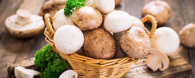 蘑菇一般煮多久(蘑菇一般煮多久熟透)