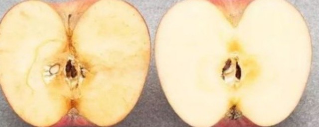 几个小窍门让苹果不再脏脏的(苹果有多脏)