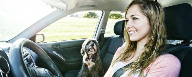 汽车去除湿气6大绝招介绍(体内湿气重怎么调理)