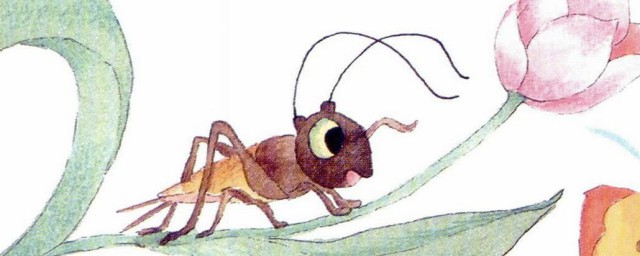 竹蛉虫饲养方法(竹蛉用什么虫具养好)