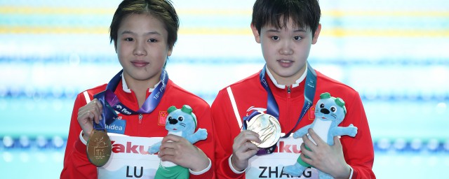 张家齐早年经历(张家齐小时候)