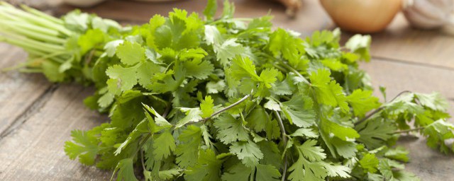 香菜干怎样储存(香菜晾干后怎么保存)