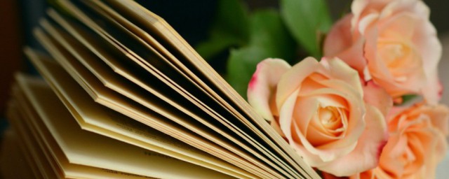 升堂入室意思(升堂入室的出处)