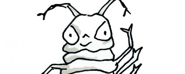 很臭的虫子名字(有点臭的虫子叫什么)