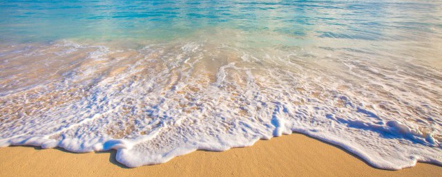 怎么抓沙虫(怎样挖沙虫)