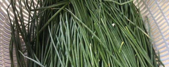 沙葱怎样吃(沙葱怎么吃好)