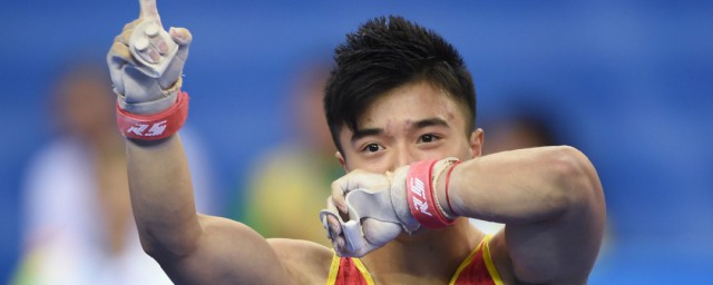 运动员刘洋个人资料(刘洋洋运动员)