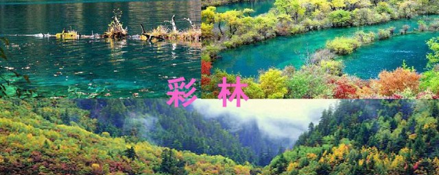 九寨沟介绍(九寨沟介绍作文)