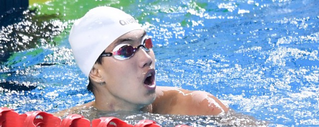 洪金权个人简介及经历(洪金权个人身高)