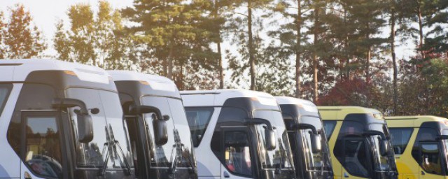 减量控大的意思(减量控大的定义)