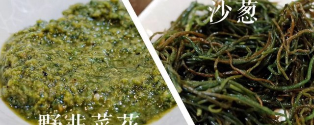 沙葱是不是韭菜(沙葱是韭菜味还是葱味)