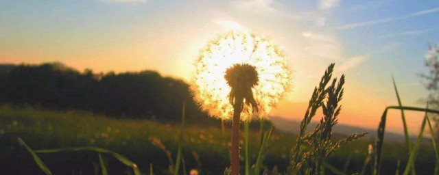 唯美简短英文句子摘抄(英语句子摘抄)