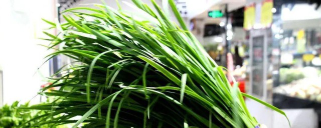 沙葱和韭菜的区别是什么(沙葱好吃还是韭菜好吃)