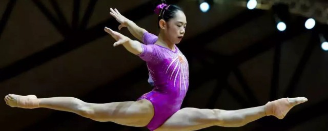 刘婷婷介绍(刘婷婷简历)