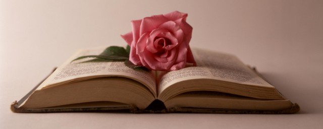 试运营的意思(试运营有什么说法)