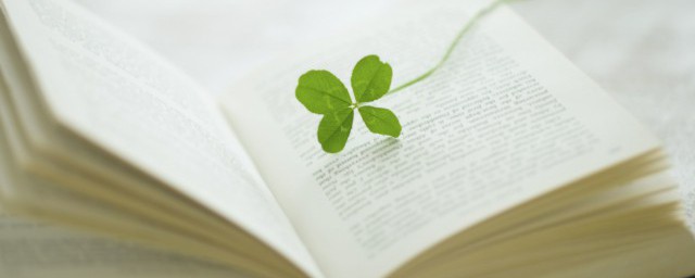 夜色阑珊是什么意思(阑珊夜色的意思)