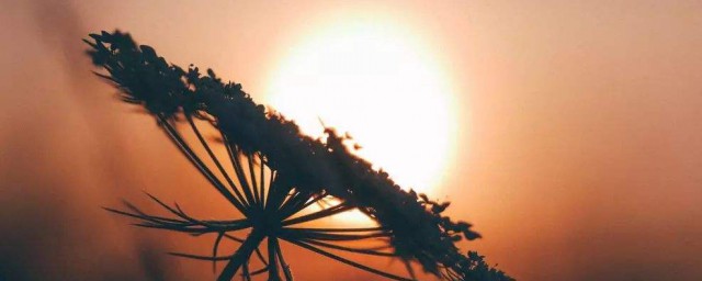 简短有意义的英文句子(简短有意义的英语)