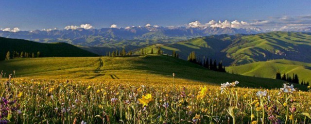 新疆北部旅游景点介绍(新疆北部旅游景点图片)