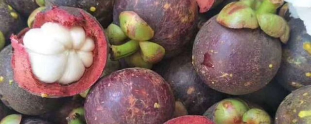 5a山竹的意思(5a山竹和3a山竹有什么区别)