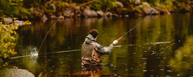 钓青鱼饵介绍(请问青鱼用什么饵钓最好)