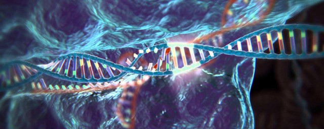 到底什么是标记基因(常用的标记基因是什么基因)