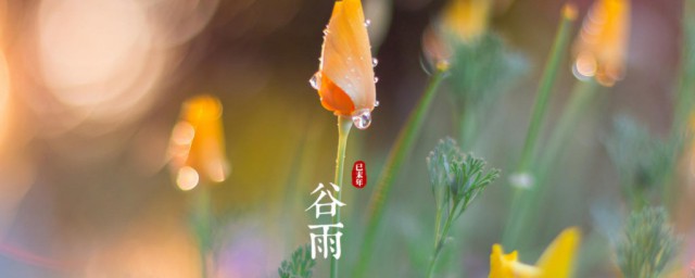 二十四节气顺序介绍(二十四节气时间顺序)