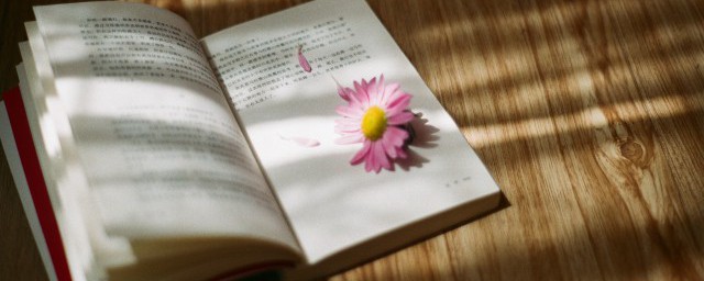 惊鸿一面的解释(惊鸿一面惊鸿一面)