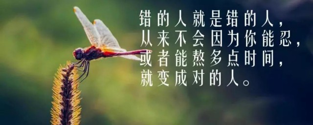 人生感悟短句有哪些(人生感悟的句子)