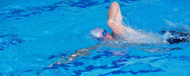 杨浚瑄介绍(杨浚瑄照片)