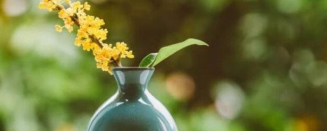 坦然的意思介绍(坦然的解释和意思)