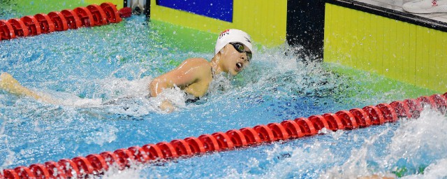 关于朱梦惠简介(朱梦慧是哪里人)