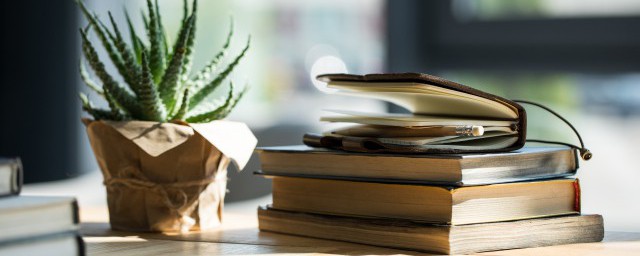 精忠报国的意思(精忠报国的意思10字)