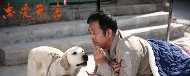 二货狗电影介绍(有个狗叫二货的电影)