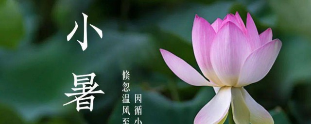 小暑介绍(小暑介绍50字)