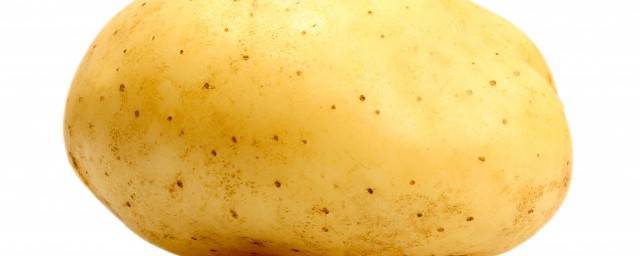 马铃薯粉能做什么东西吃(马铃薯粉可以做什么)