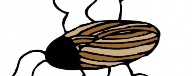 驱赶蟑螂的方法(驱赶蟑螂的办法)