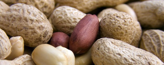 吃花生最佳时间(什么时间段吃花生最好)