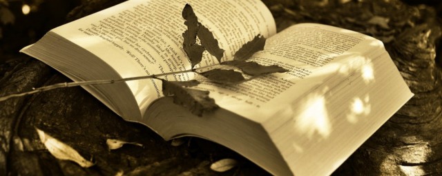 岁数计算方法(岁数如何计算)