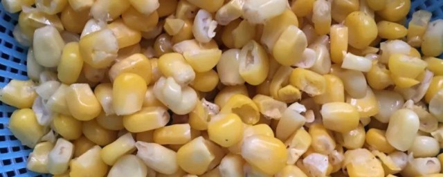 玉米钓饵做法(怎样制作玉米钓饵)