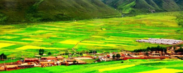 谷地的含义(谷的意思)